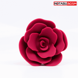 6d433224_3465_11eb_813a_0